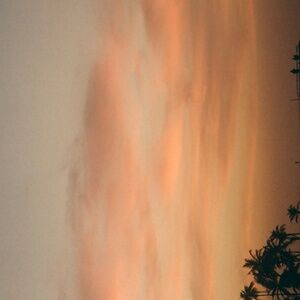 Meet your Posher, Gilda